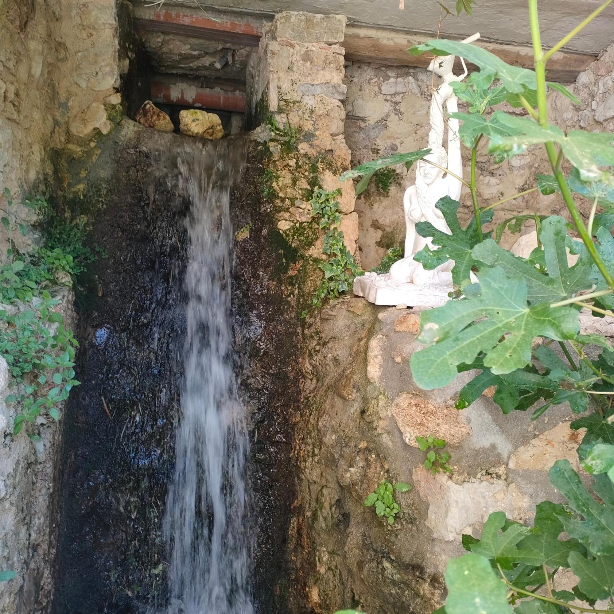 施吉诺Umbria Valnerina , Il Tartuffo, Near Spoleto公寓 外观 照片